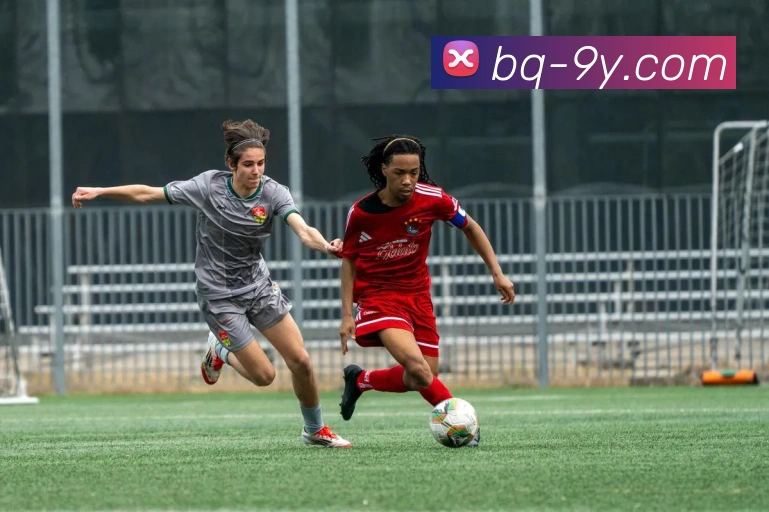 九游官网服务体系